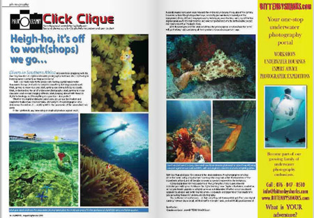 BITTENBYSHARKS ARTICLES, submerge magazine, click clique column