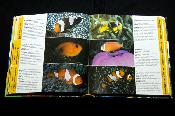 reeflife bittenbysharks