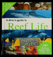 Reeflife bittenbysharks