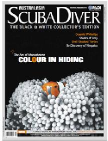 BITTENBYSHARKS, CLAUDIA PELLARINI, LEON JOUBERT, RAJA AMPAT, UNDERWATER PHOTOGRAPHY PROFESSIONALS