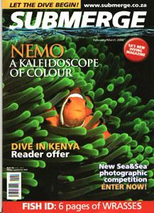 bittenbysharks, submerge cover