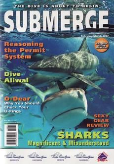 bittenbysharks, submerge cover