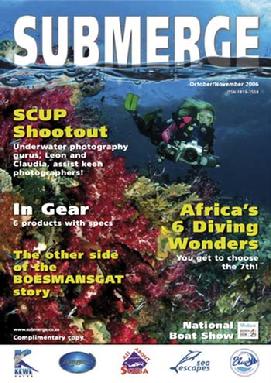 bittenbysharks, submerge cover