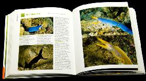 macrolife book bittenbysharks