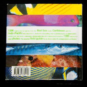 reeflife bittenbysharks