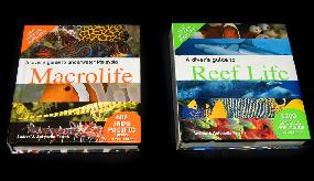 reeflife macro life bittenbysharks
