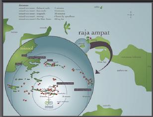 raja ampat, misool, bittenbysharks