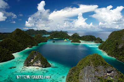 raja ampat, diving, wayag, bittenbysharks