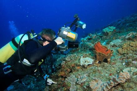 Sodwana Bay Shootout 2008