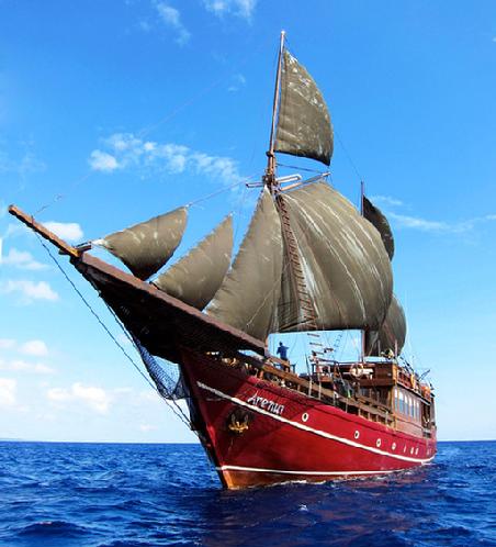 diving, raja ampt, live-aboard, arenui, bittenbysharks