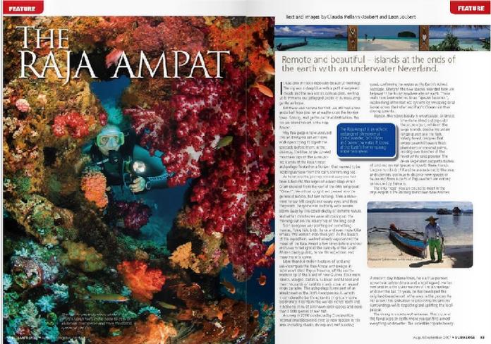 BITTENBYSHARKS, ARTICLES